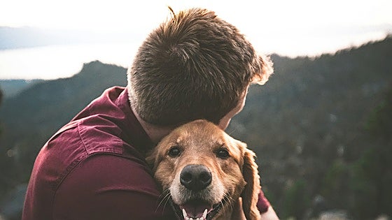 Código descuento Tiendanimal exclusivo ABC, ahorra 7€ en tu primera compra en febrero 2025