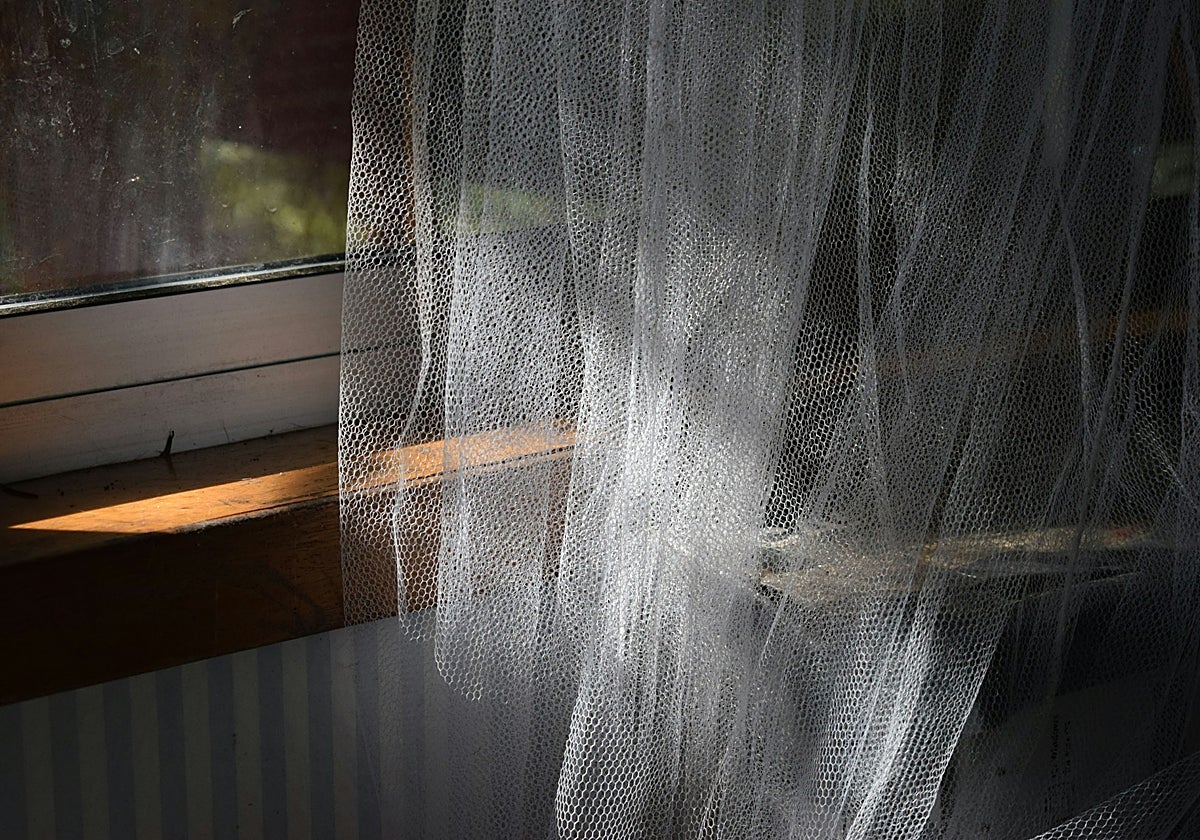 Aíslate de insectos con las mejores mosquiteras del mercado al mejor precio