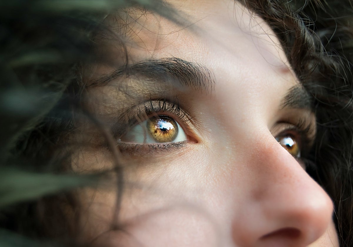 Mejores cremas antiojeras