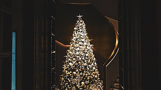 Es hora de montar el árbol de Navidad: las mejores ideas para tu hogar