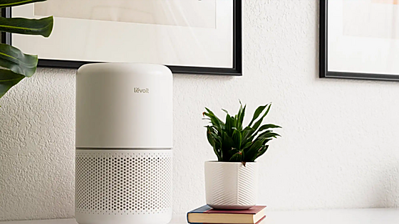Mejora la calidad del aire de tu casa con este purificador de Levoit que encontrarás en Amazon por un 13% menos