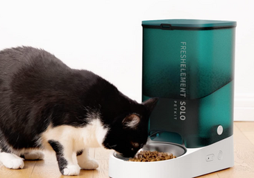 Regula automáticamente las comidas de tu gato con el dispensador PETKIT: ahora a un precio fantástico