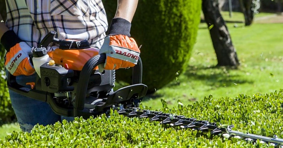 Las 5 herramientas esenciales para tener el jardín perfecto esta primavera sin matarte a trabajar