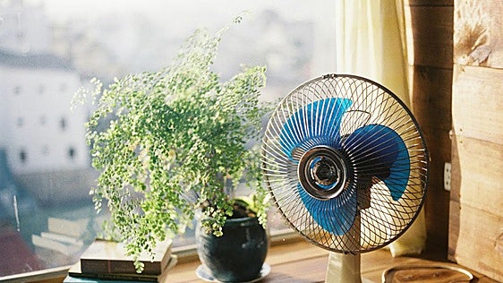 Los mejores ventiladores para combatir el calor este 2026