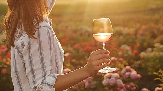 Ruta de viñedos por España: bodegas y hoteles para una escapada de enoturismo