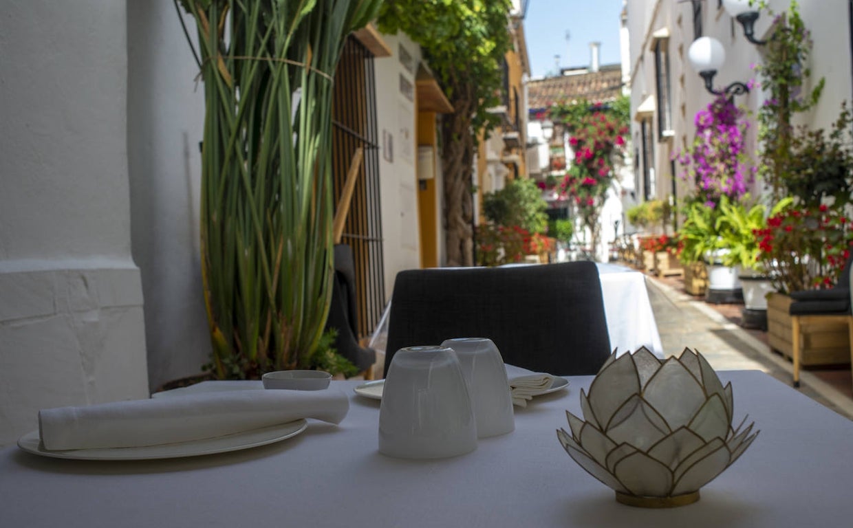 Skina: la cocina elegante