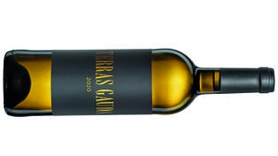 Imagen principal - Terras Gauda Etiqueta Negra