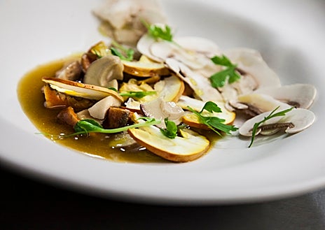 Imagen secundaria 1 - Sobre estas líneas, arriba, una de las creaciones con setas del chef manchego Miguel Carretero, en el restaurante Santerra de Madrid. Abajo, a la izquierda, plato de setas de temporada de Óscar García, chef de Baluarte (una estrella Michelin en Soria). A la derecha, postre de Daniel Ochoa en Montia –'sablé' de chocolate con champiñón–, en San Lorenzo de El Escorial (Madrid)