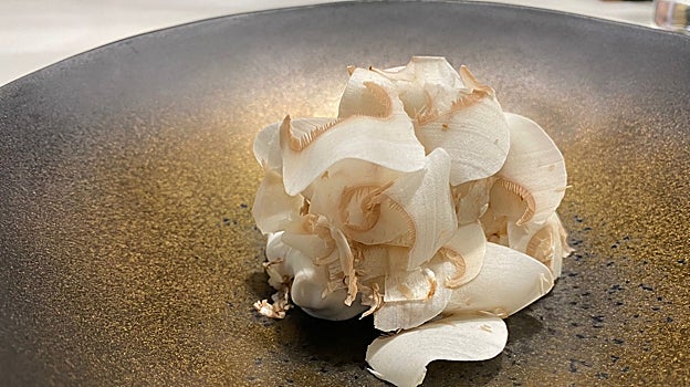 Champiñón con colágeno de merluza de 'Pedrito Sánchez' en Bagá