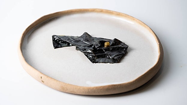 Alga nori a la menier, de Bagá