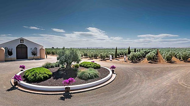 La finca Los Palacios