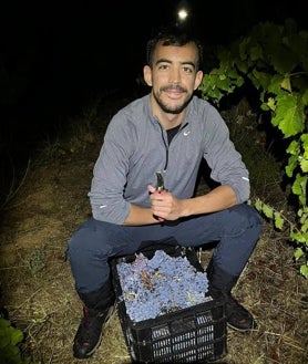 Imagen secundaria 2 - Sobre estas líneas, arriba, patata inoculada con el hongo 'Penicillium camemberti'. Abajo, alguna de las kombuchas y fermentados que Carlos Casillas (en la imagen de la derecha, en su viña) trabaja en Mûd Wine Bar.