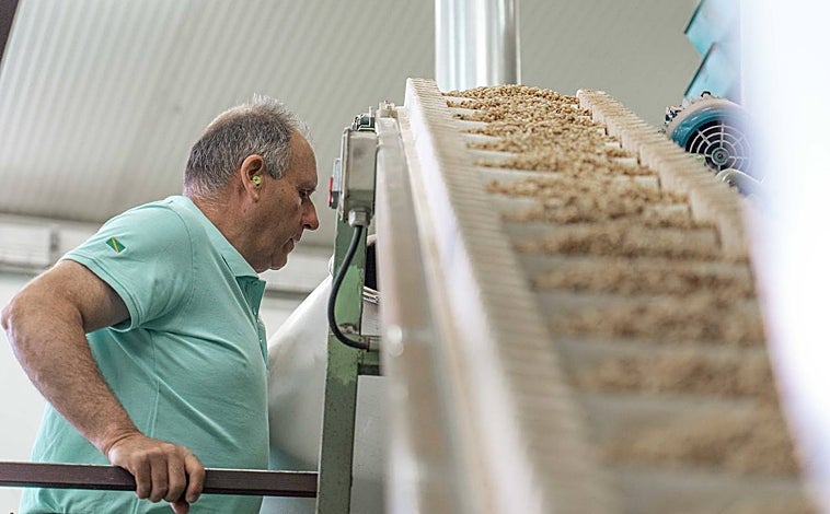 Imagen principal - Celestino Muñoz, exgerente de Piñones de Castilla (debajo, a la derecha), ha dedicado toda su vida a este oficio