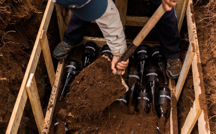 Imagen principal - Gloría Negrín enterrando cien botellas de Rajadero en la propia viña de Altos de Chipude