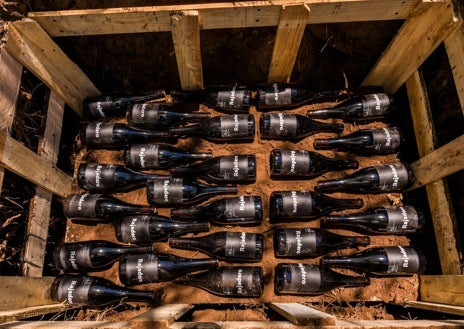 Imagen secundaria 1 - Gloría Negrín enterrando cien botellas de Rajadero en la propia viña de Altos de Chipude