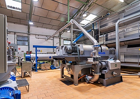 Imagen secundaria 1 - Aceites Delgado trabaja con 4500 hectáreas de olivos