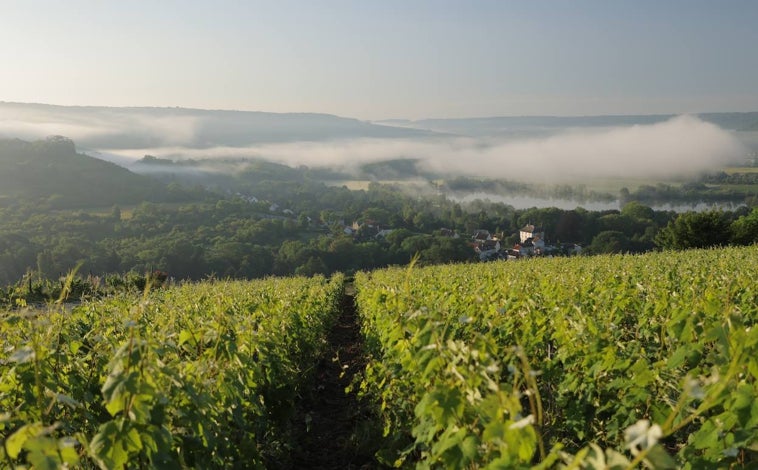 Imagen principal - Sobre estas líneas, arriba, los viñedos de Moët & Chandon. Abajo, botellas de dos de las grandes casas de la región de Champagne: Laurent Perrier y la ya citada bodega.