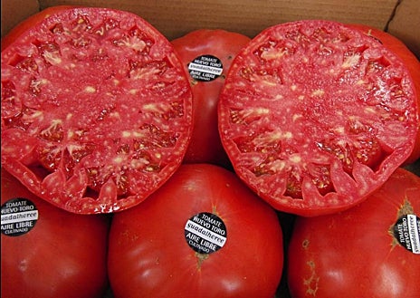 Imagen secundaria 1 - SObre estas líneas, arriba, variedad de tomate moruno de Madrid. Abajo, a la izquierda, de huevo de toro del valle del Guadalhorce (Málaga). A la derecha, el tomate de penjar, conocido también como ramallet que se cuelga en las casas de Baleares y el Levante.