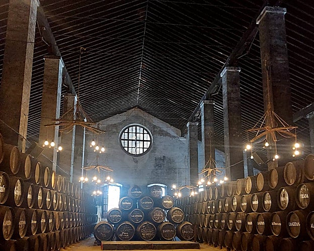 La bodega catedral de Hidalgo La Gitana.