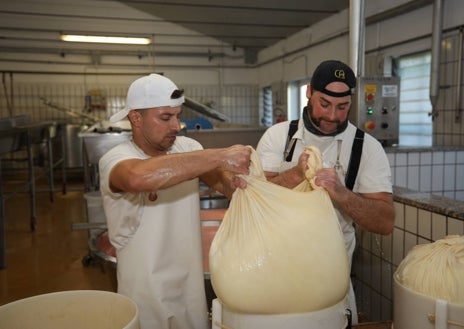 Imagen secundaria 1 - Elaboración del Parmigiano Reggiano auténtico en la quesería Rosola, en Zocca. 