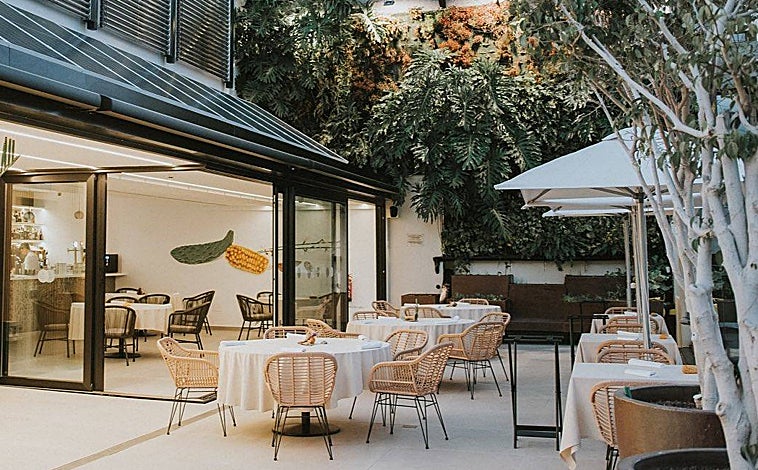 Imagen principal - Sobre estas líneas, arriba, la terraza de Muxgo. Abajo, dos platos de sus menús actuales