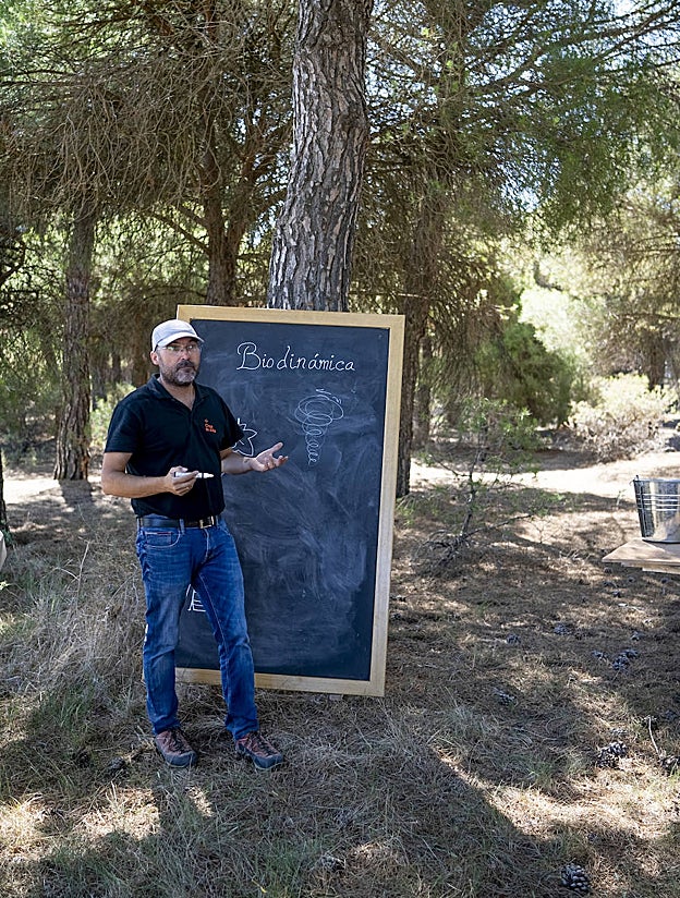 Los viticultores apuestan por fluir #en paralelo a la naturaleza. «Observa, no toques», defienden desde la biodinámica