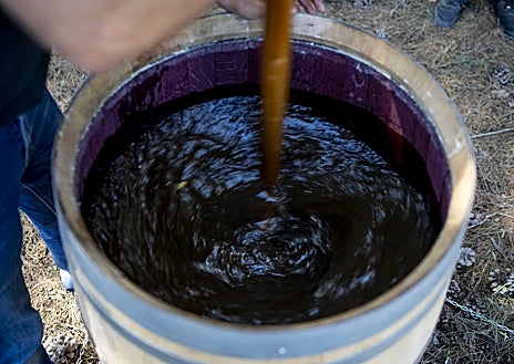 Imagen secundaria 1 - En las fotos, el viticultor Sergio Ávila con algunos tratamientos biodinámicos de compost en vejigas de ciervo o cuernos