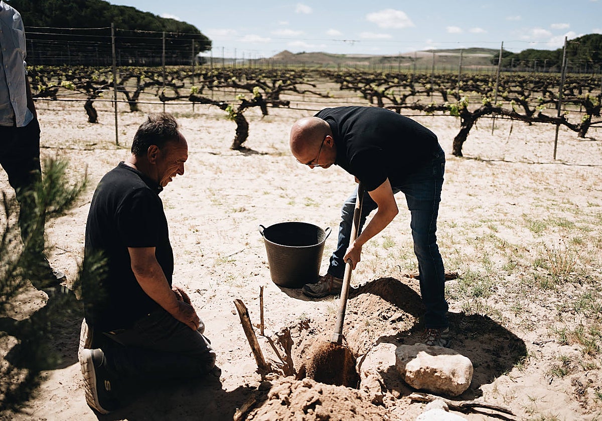 El viticultor Sergio Ávila realizando un tratamiento biodinámico en la viña