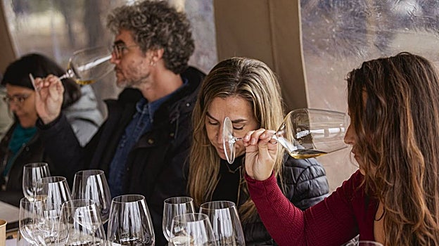 Cata de vinos biodinámicos