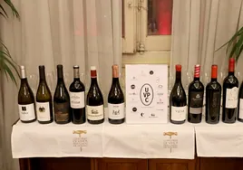 Nace la Unión de Vinos de Pago Certificados, formada por 14 bodegas españolas con el mayor reconocimiento europeo
