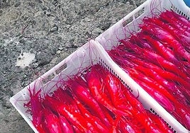 ¿Qué tienen de especial el carabinero y la gamba de La Santa?: los productos de Lanzarote que miran con envidia grandes chefs