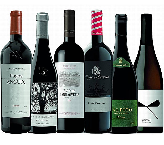 Tintos para disfrutar (3)