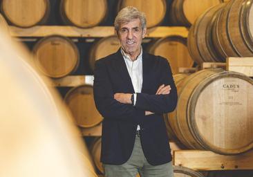 Cepa 21: así es la bodega que fue víctima de un misterioso sabotaje