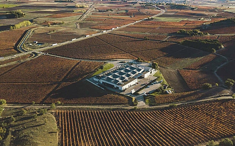 Imagen principal - Cepa 21 y sus vinos.