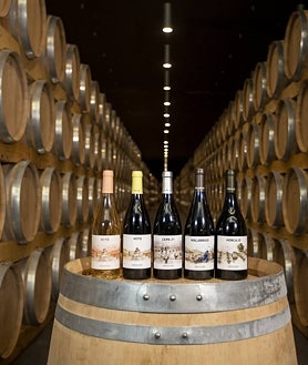 Imagen secundaria 2 - Cepa 21 y sus vinos.