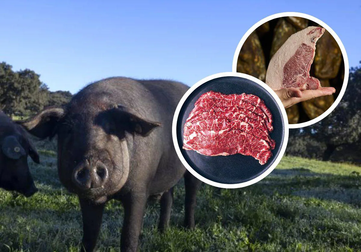 Cinco cortes de cerdo ibérico que no deberías dejar pasar, ¿por qué es  mejor la carne fresca de montanera?