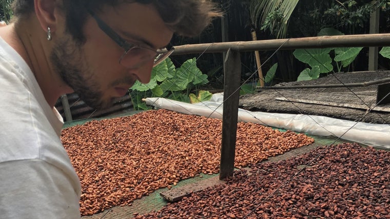 Pol Contreras, seleccionando cacaos en origen