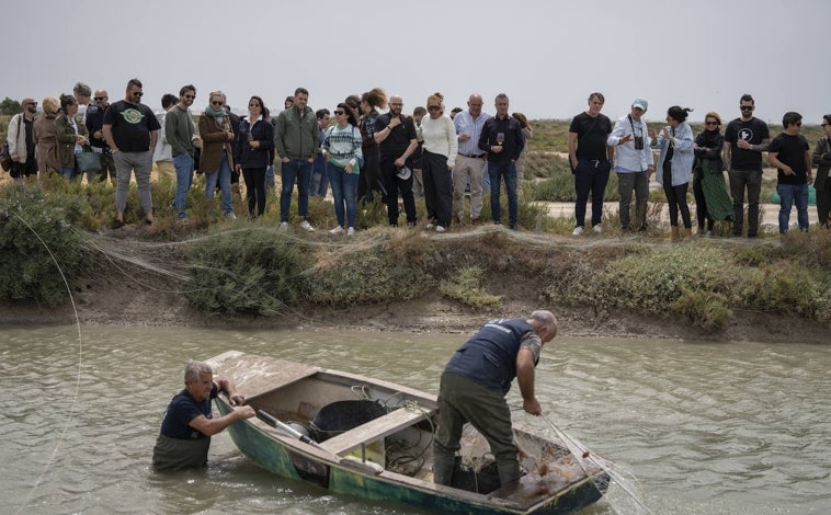 Imagen principal - Algunos de los chefs internacionales invitados a Despesques 2024 pudieron ir a las marismas, el resto se quedó con las ganas debido al temporal de levante. En Aponiente se debió hacer la inauguración del encuentro, el resto de las ponencias se desarrolló en el Monasterio de la Victoria de El Puerto de Santa María.