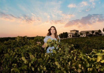 Castilla-La Mancha: el escenario perfecto para los amantes del mundo del vino