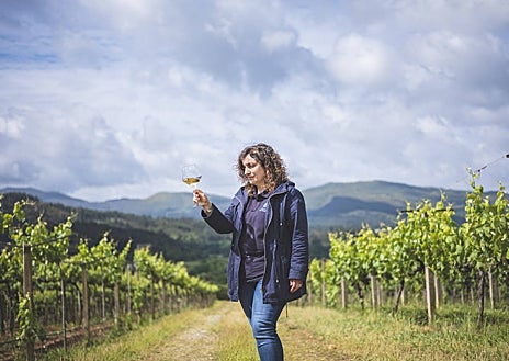 Imagen secundaria 1 - Pazo de San Mauro tiene unas 30 hectáreas de viñedos de albariño y una pequeñísima porción de loureiro. Susana Pérez es la enóloga de esta bodega de las Rías Baixas