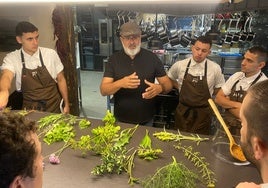 El Panorámix de Jaén que ayuda a los estrellas Michelin: las plantas silvestres en la alta cocina