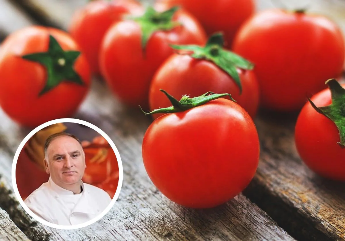 La recomendación del chef José Andrés para aprovechar los tomates maduros: «Te diría que es...»