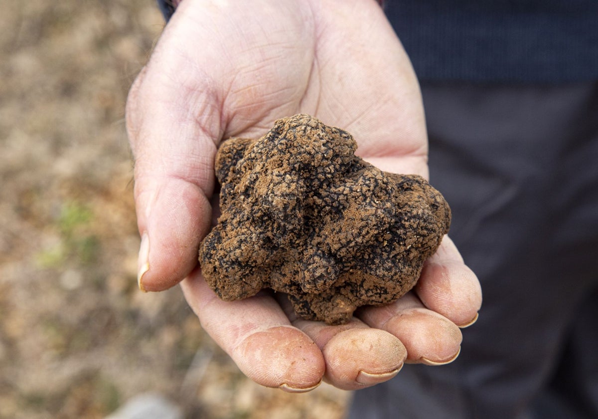 Aragón: sabores de autenticidad y nobleza