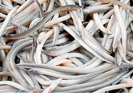 Angulas : el bocado sibarita y navideño que sacó de quicio al mismísimo Sigmund Freud