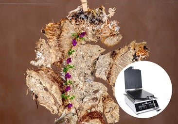La máquina de alta cocina que convierte una sardina en un papel fino y crujiente