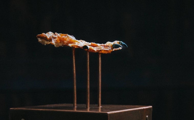 Imagen principal - Algunos de las presentaciones de platos elaborados con pato Rakiraki por Mabee en Amsfield