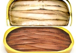 ¿Es lo mismo un boquerón que una anchoa? Espóiler: este 'matrimonio' tiene un solo cónyuge
