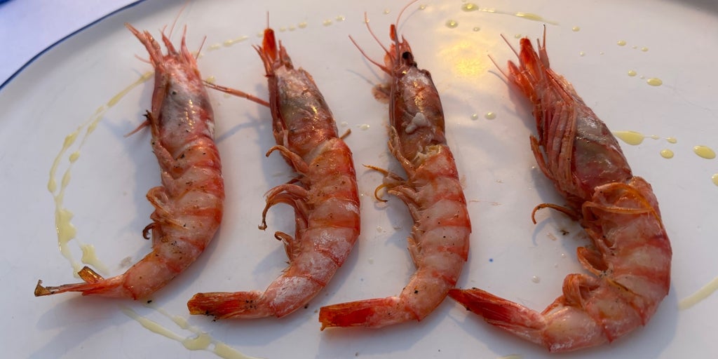 Gamba roja, la dama del Mediterráneo