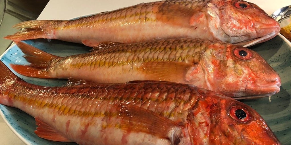 SALMONETE, EL SABOR DEL MAR