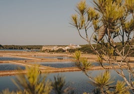 Sal de Menorca, una tradición milenaria recuperada por amor a la isla y a sus tradiciones